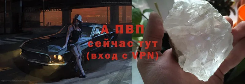 A PVP СК КРИС  Тольятти 